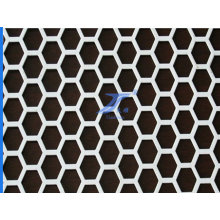 Hexagon Type Perforated Metal Sheet for Protecting (TS-E118)